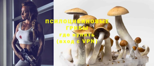 ешки Нефтегорск