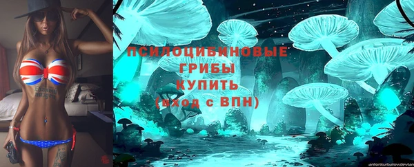 ешки Нефтегорск