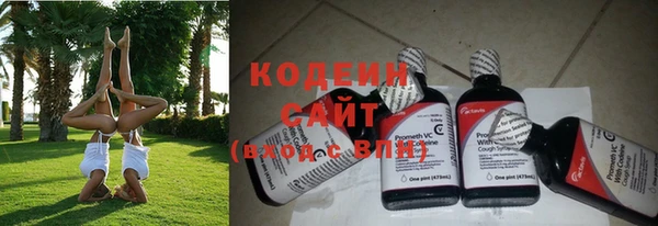 мет Новозыбков