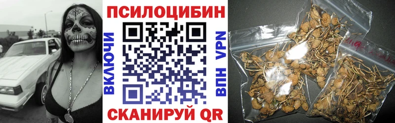купить закладку Кораблино Псилоцибиновые грибы GOLDEN TEACHER