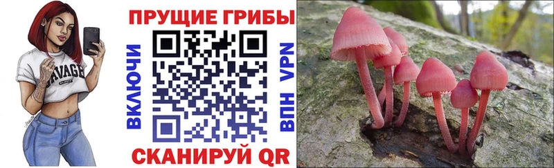Галлюциногенные грибы прущие грибы Кораблино